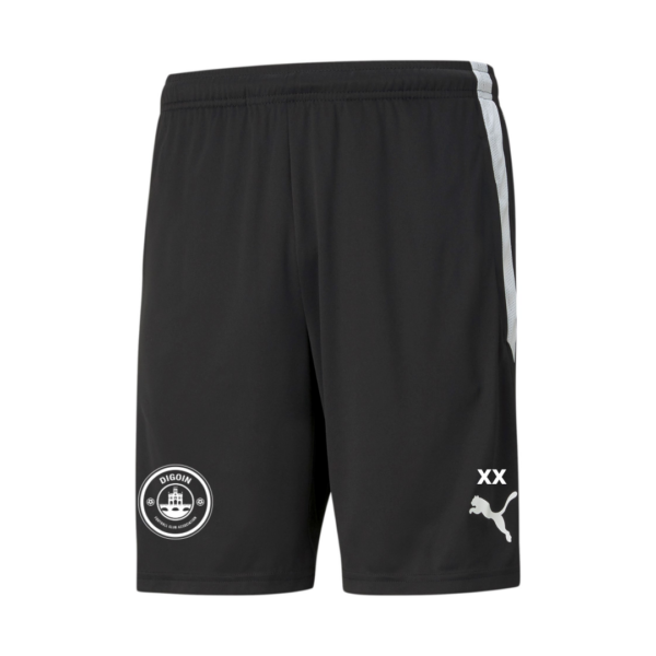 TeamLIGA training shorts