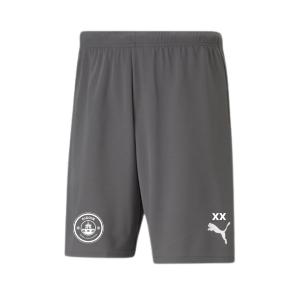 TeamRISE shorts gris junior