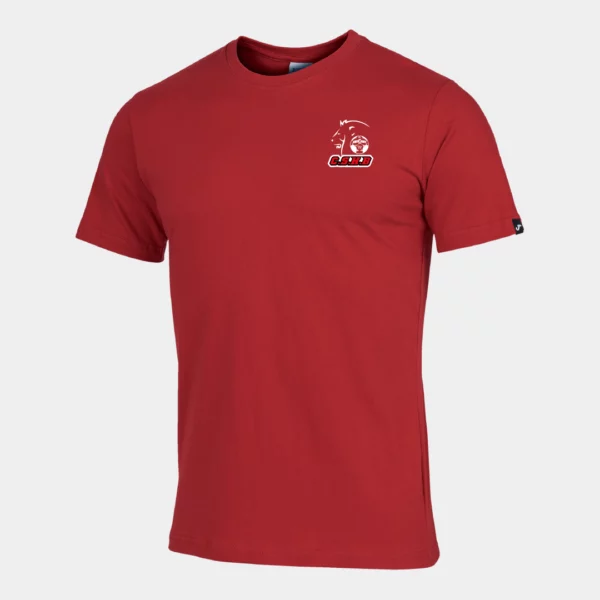 t-shirt desert