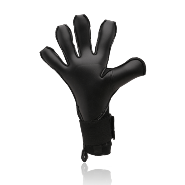naos black