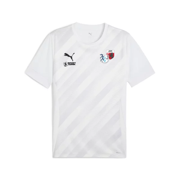 teamGOAL Graphic Jersey Adulte